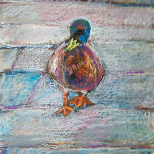 ente gut alles gut 20x30 oel pastell