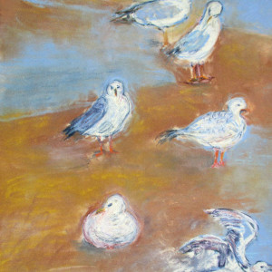 moewen 23x31 pastellkreide