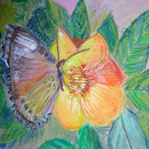 nahrungssuche 24x31 oel pastell